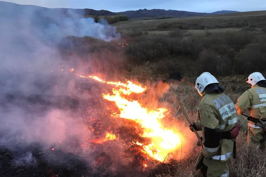 Происшествия в Казахстане и мире / В этом году степные пожары в ВКО уничтожили площадь свыше 7900 гектаров 