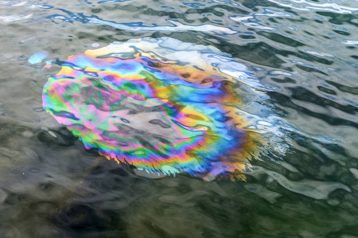 Новости мира / Интересные новости / В Черном море обнаружили большое нефтяное пятно