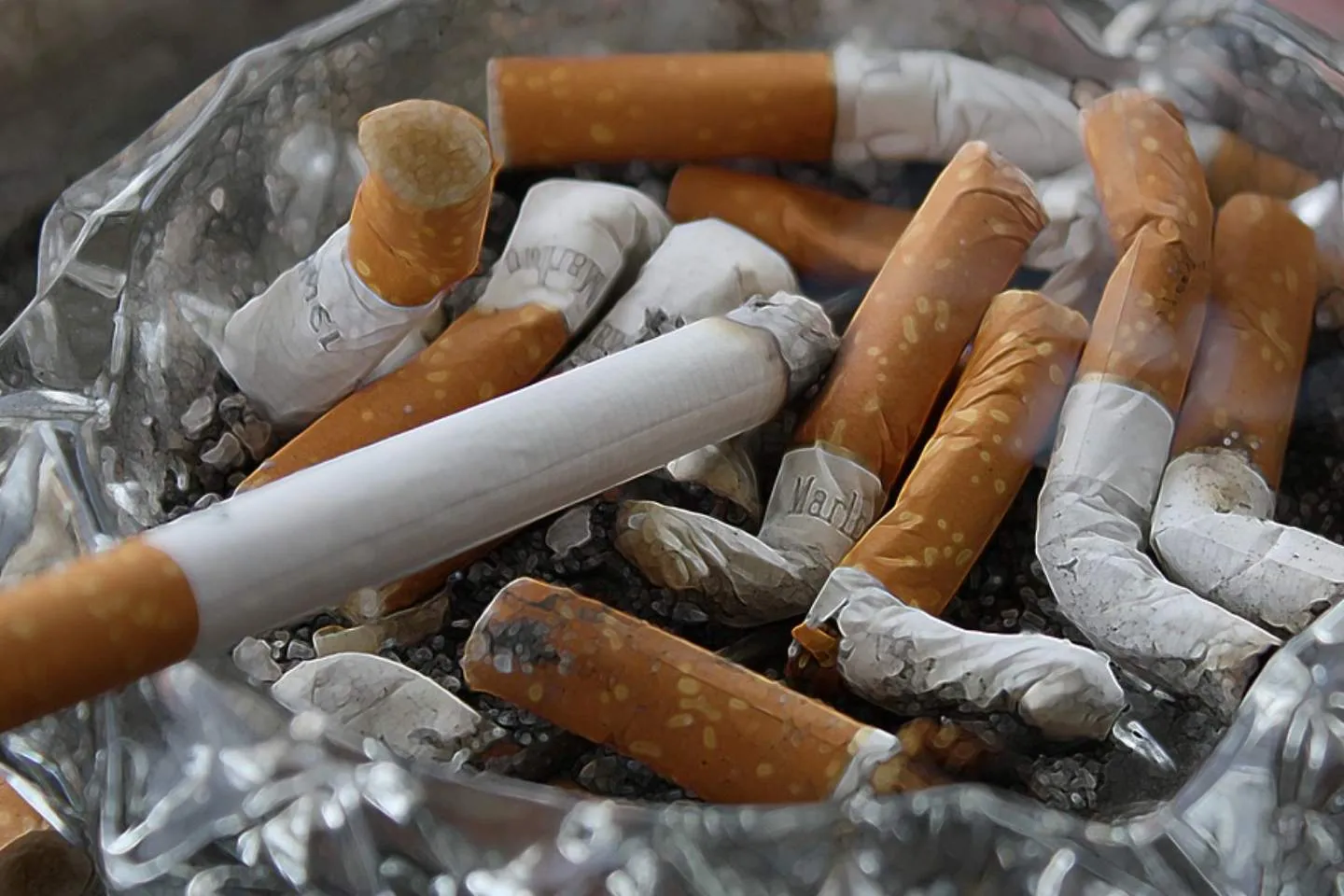 Новости Казахстана / Общество в Казахстане / В Казахстане растет количество курящих