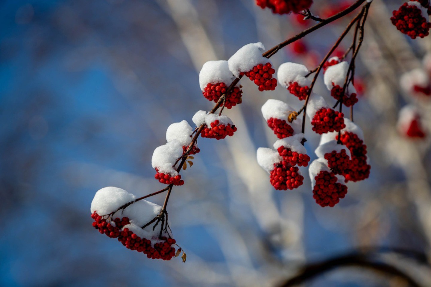 Усть-Каменогорск и ВКО / Ертең ШҚО-ның солтүстігінде, оңтүстігінде, шығысында күн тұманды Усть-Каменогорск и ВКО / Ертең ШҚО-ның солтүстігінде, оңтүстігінде, шығысында күн тұманды