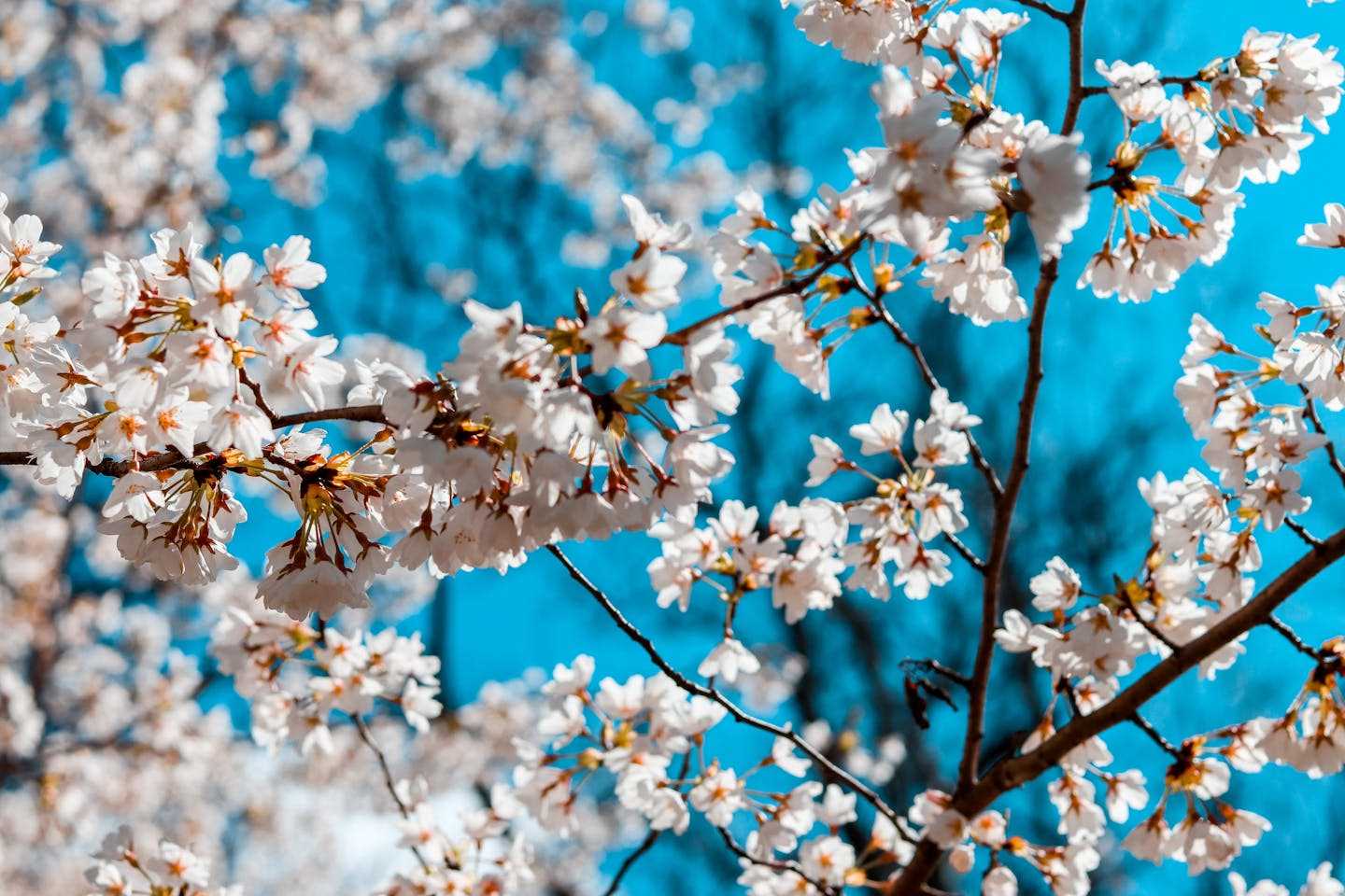 Новости Казахстана / Какая погода ожидает казахстанцев в ближайшие дни