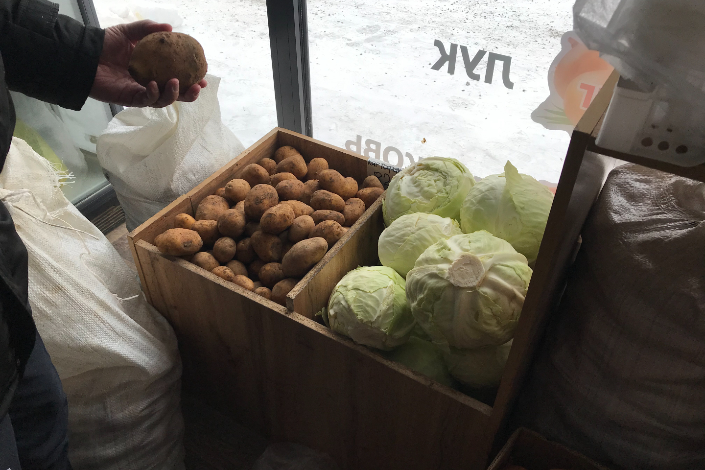 Усть-Каменогорск и ВКО / В Восточном Казахстане можно купить картофель по 125 тенге за килограмм