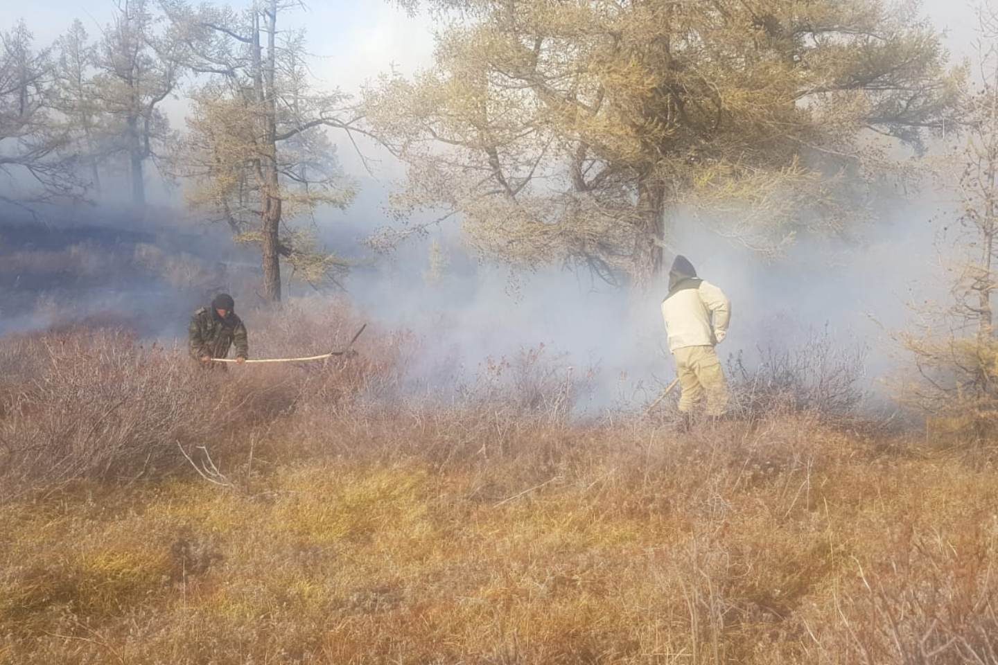 Происшествия в Казахстане и мире / Утренняя сводка: почти все природные пожары удалось потушить в ВКО