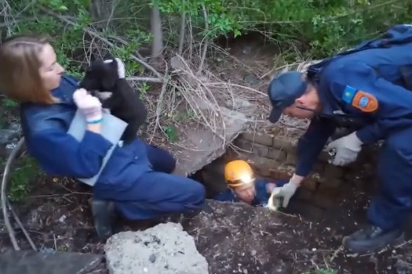 Усть-Каменогорск и ВКО / Спасатели вытащили щенка из колодца в Усть-Каменогорске
