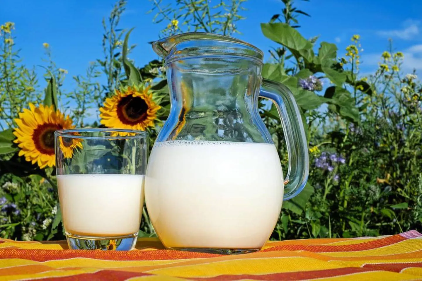 Новости Казахстана / Общество в Казахстане / В Казахстане наблюдается рост цен на молочные продукты