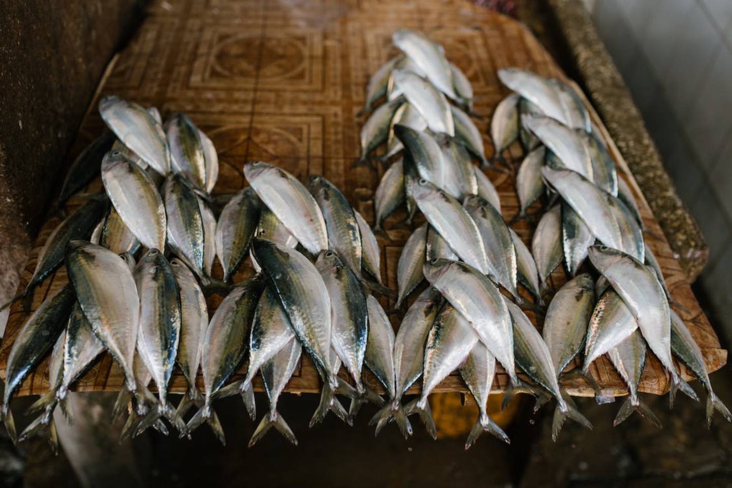 Новости Казахстана / Общество в Казахстане / Жители ВКО едят рыбу чаще других жителей Казахстана