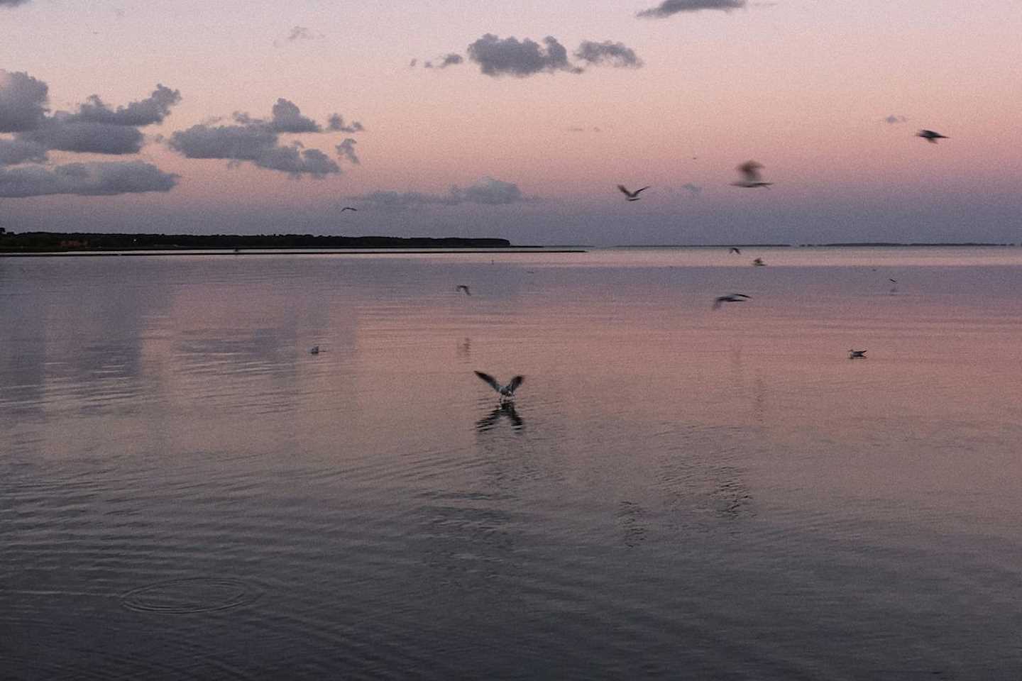 Новости Казахстана / Общество в Казахстане / Правительство Казахстана профинансирует сохранение Каспия