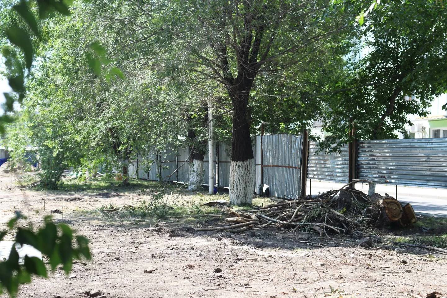 Новости Казахстана / Общество в Казахстане / Больные деревья ликвидируют в Усть-Каменогорске
