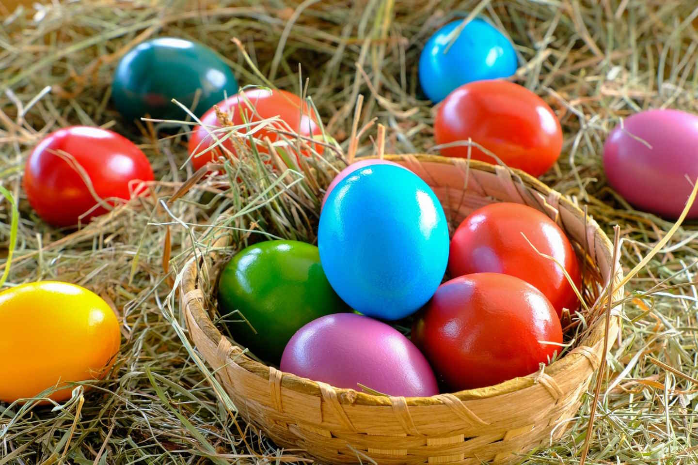 Новости мира / Интересные новости / В Белом доме США прошло ежегодное пасхальное катание яиц