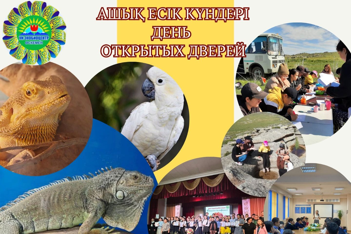 Усть-Каменогорск и ВКО / Усть-Каменогорск / В Усть-Каменогорске День открытых дверей пройдет в Экобиоцентре Усть-Каменогорск и ВКО / Усть-Каменогорск / В Усть-Каменогорске День открытых дверей пройдет в Экобиоцентре