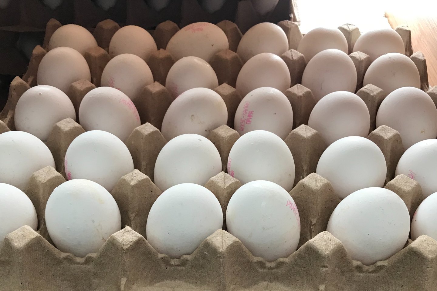 Новости Казахстана / Экономика в Казахстане / Как государство поддерживает производителей яиц в РК
