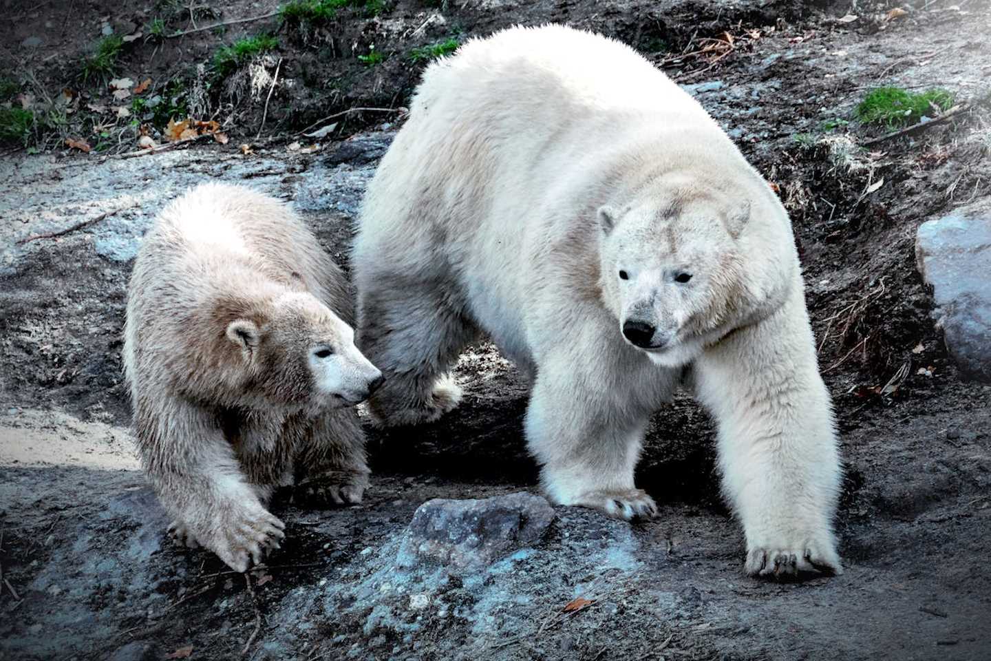 Новости мира / Интересные новости / 27 февраля: сегодня в истории