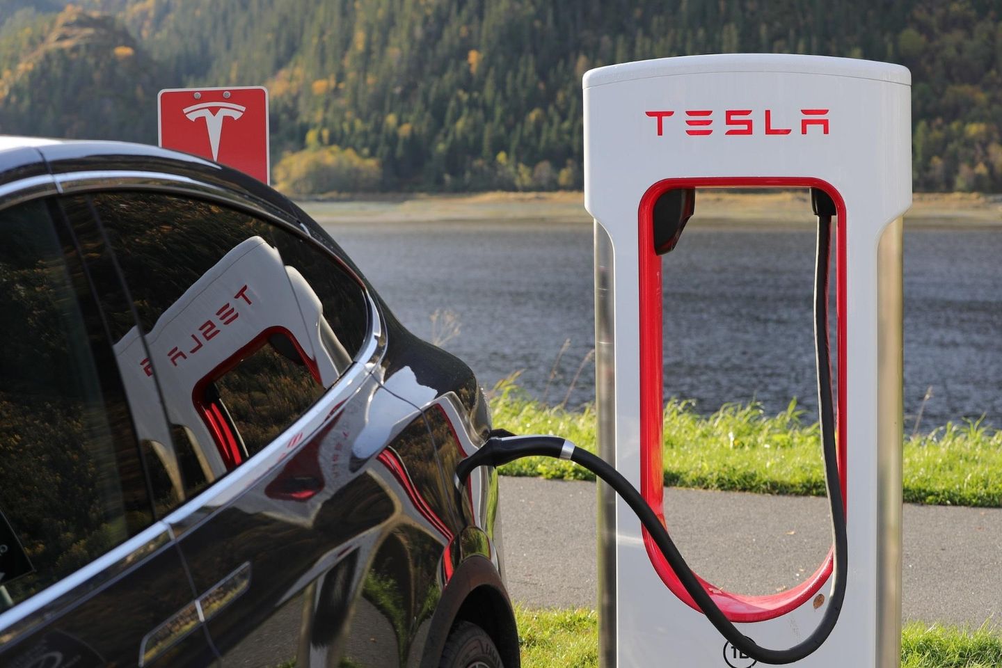 Новости мира / Доходы Tesla упали на 71%, пока Илон Маск занимался реформами в США