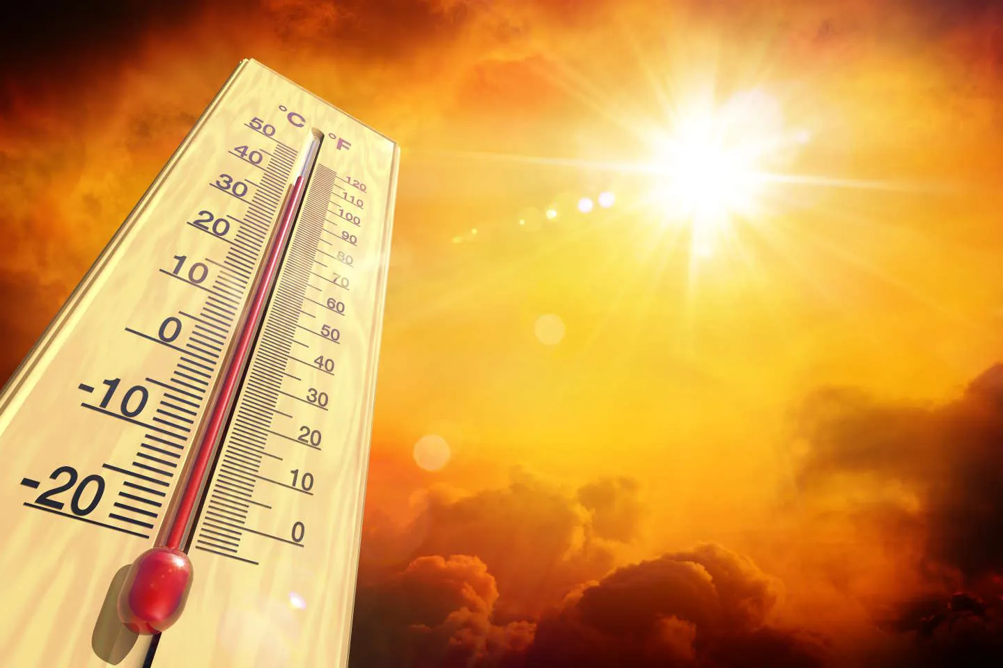Новости мира / Интересные новости / Минувшее лето стало самым жарким за всю историю метеонаблюдений