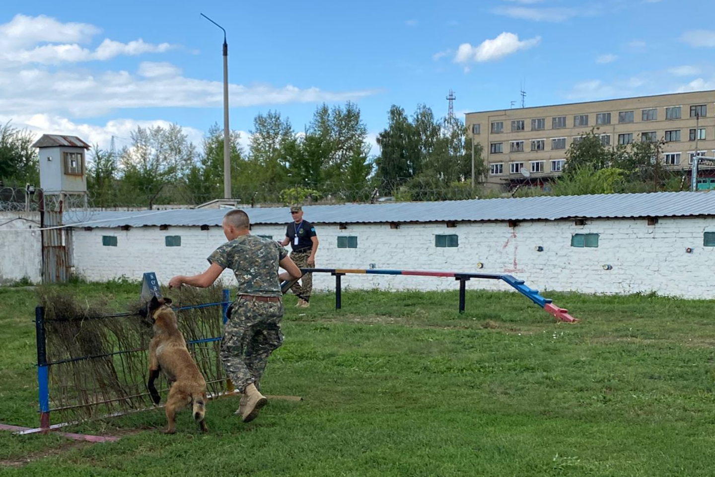Усть-Каменогорск и ВКО / В Усть-Каменогорске прошли соревнования на звание лучшего кинолога Казахстана Усть-Каменогорск и ВКО / В Усть-Каменогорске прошли соревнования на звание лучшего кинолога Казахстана