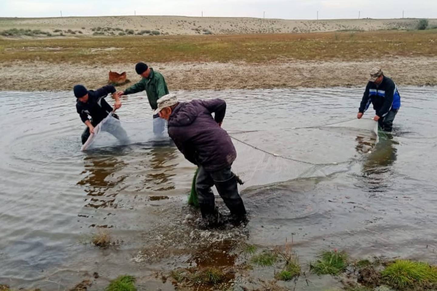 Усть-Каменогорск и ВКО / Более 41 тысячи молоди рыбы спасли из отшнуровавшихся водоемов Курчума