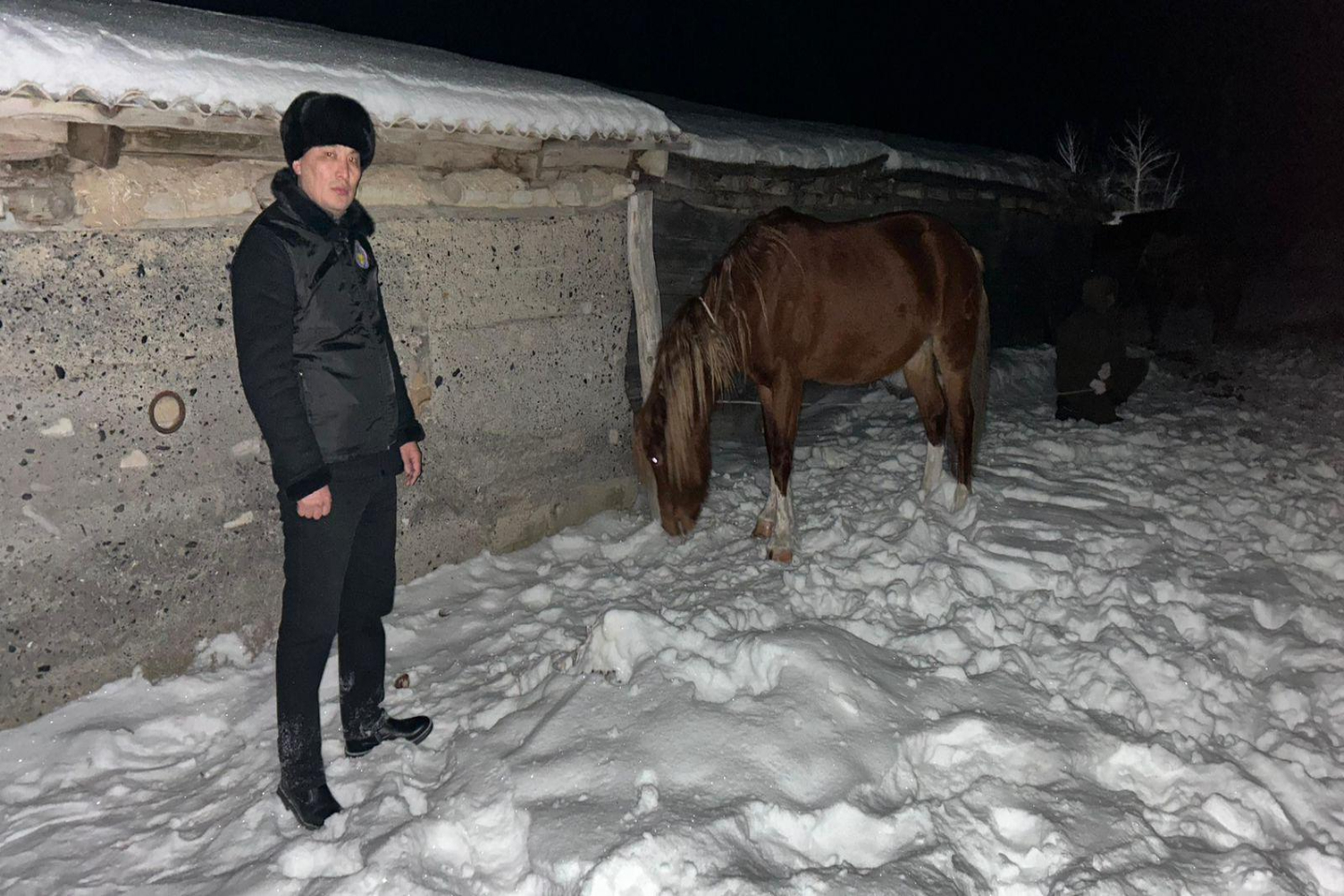 Происшествия в Казахстане и мире / Криминальные новости / Чабана из ВКО подозревают в скотокрадстве на несколько миллионов тенге