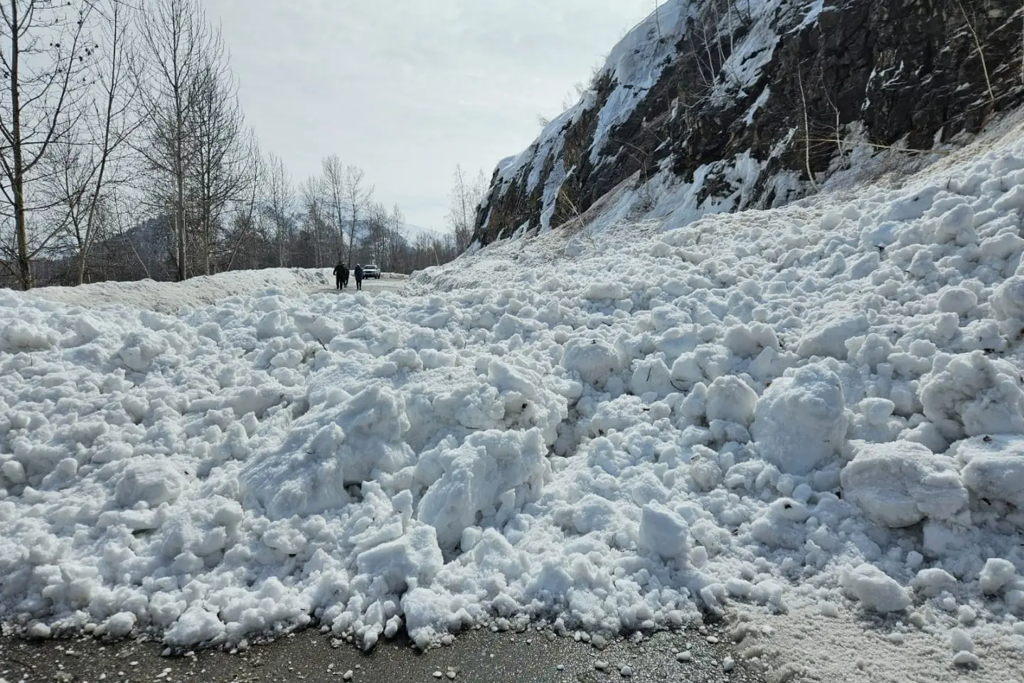Усть-Каменогорск и ВКО / Завтра в ВКО проведут профилактический спуск лавин Усть-Каменогорск и ВКО / Завтра в ВКО проведут профилактический спуск лавин
