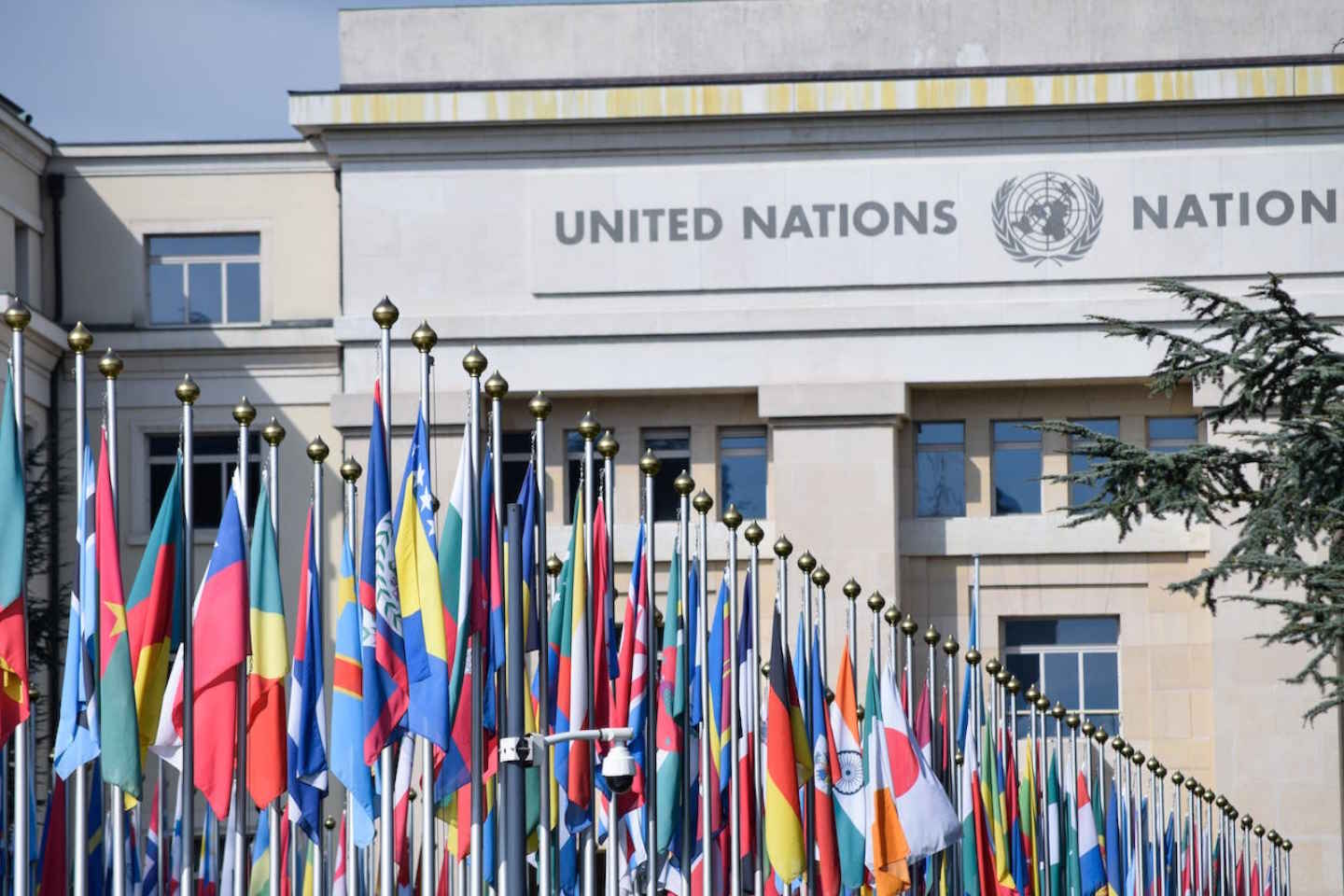 Новости мира / Политика в мире / Генеральная Ассамблея ООН приняла резолюцию по Голанским высотам