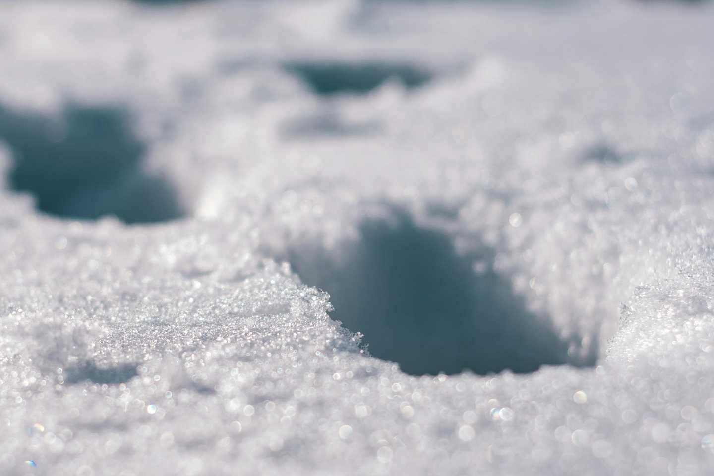 Новости Казахстана / Общество в Казахстане / Мужчину искали с помощью вертолета в Костанайской области