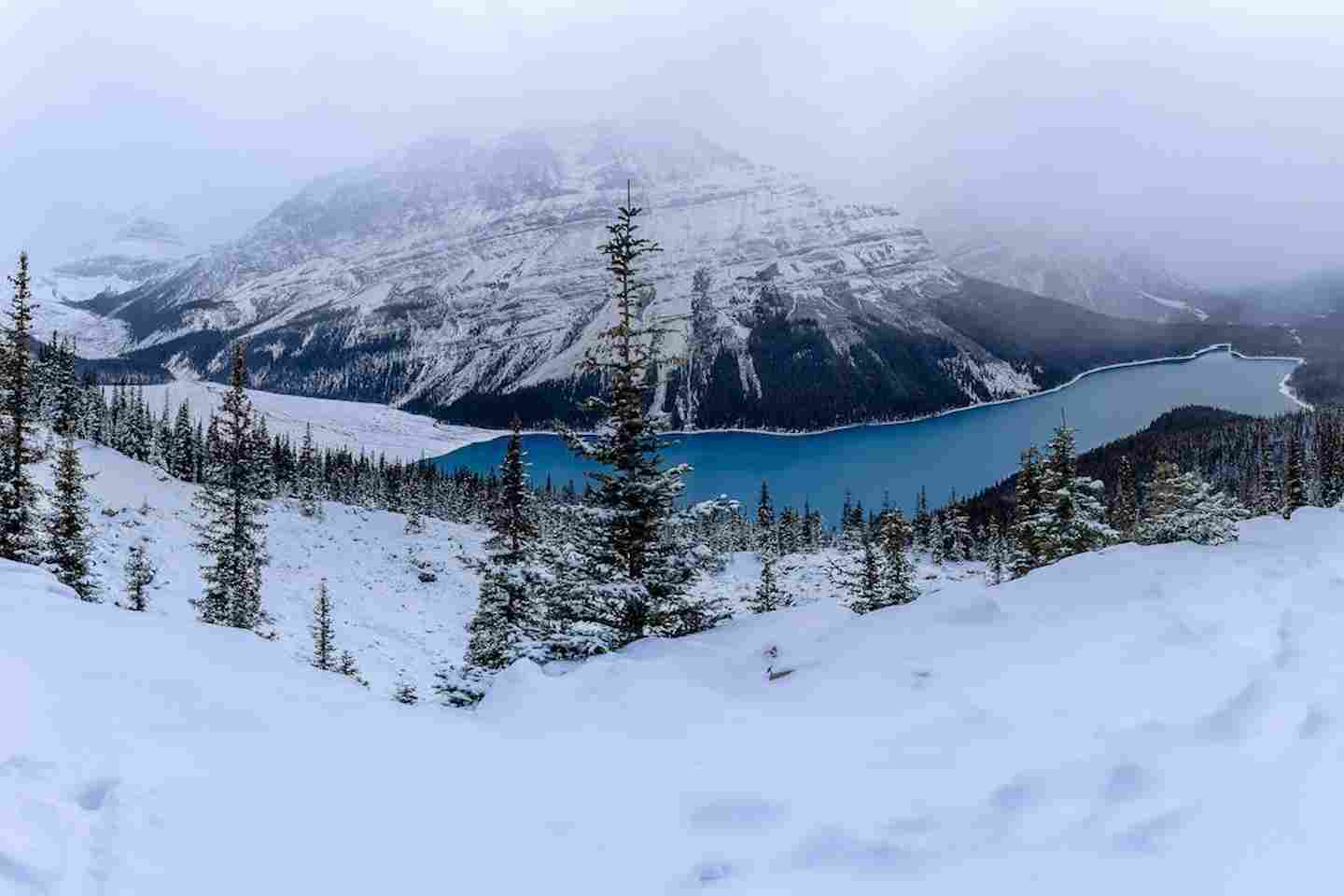 Новости Казахстана / Общество в Казахстане / Зимний туристический сезон готовятся открыть в Акмолинской области