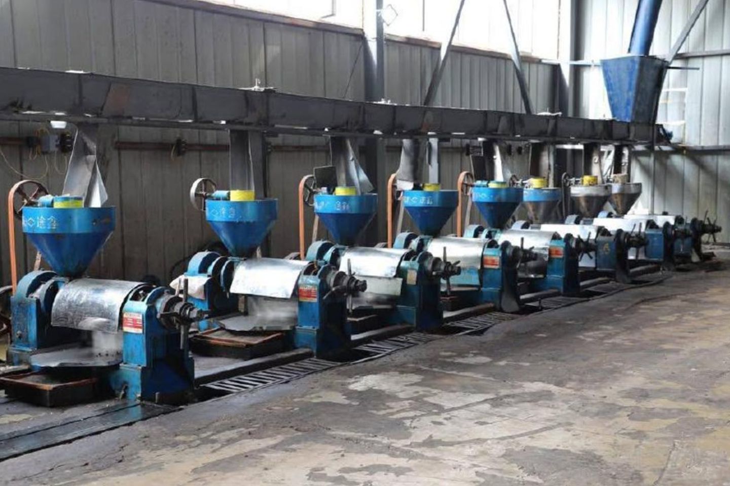 Новости Казахстана / Новый завод по выпуску растительного масла запустили в Туркестанской области