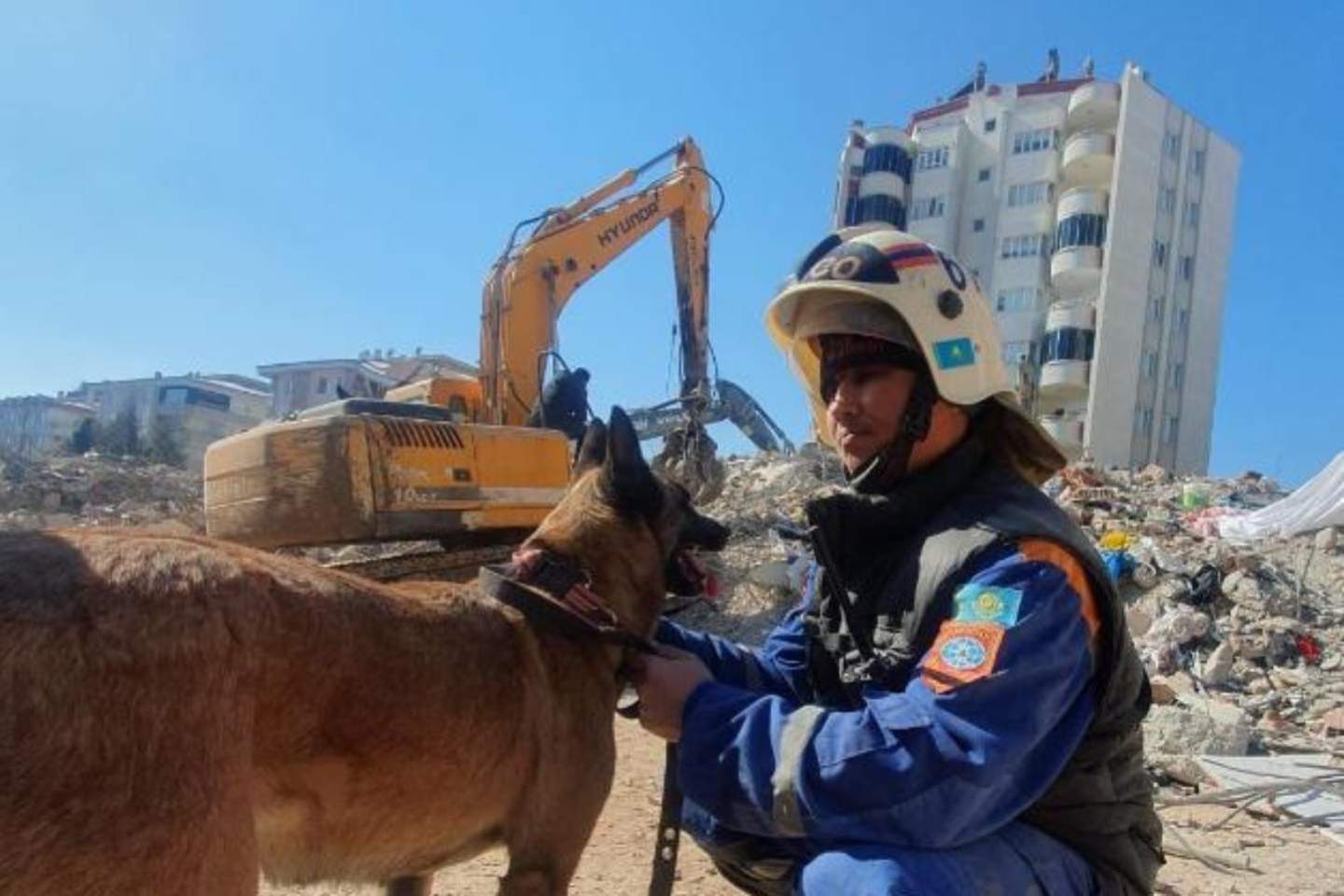 Четвероногие спасатели МЧС РК помогают вытаскивать людей из-под завалов в  Турции - Устинка Live