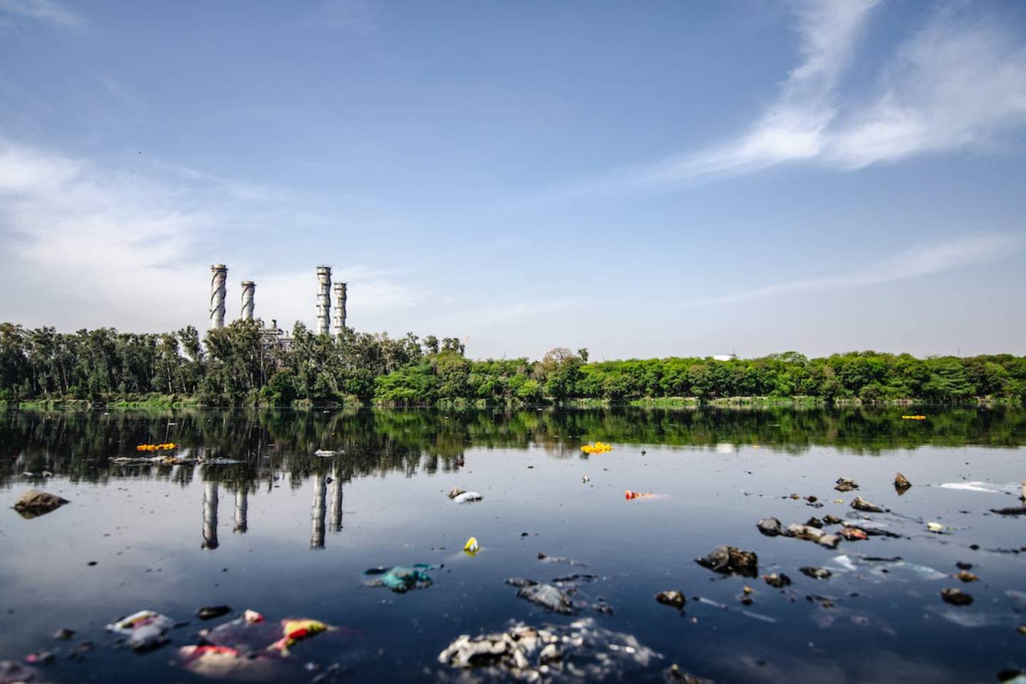 Новости Казахстана / Общество в Казахстане / Алматинцы бьют тревогу: застройщики сбрасывают мусор прямо в реку