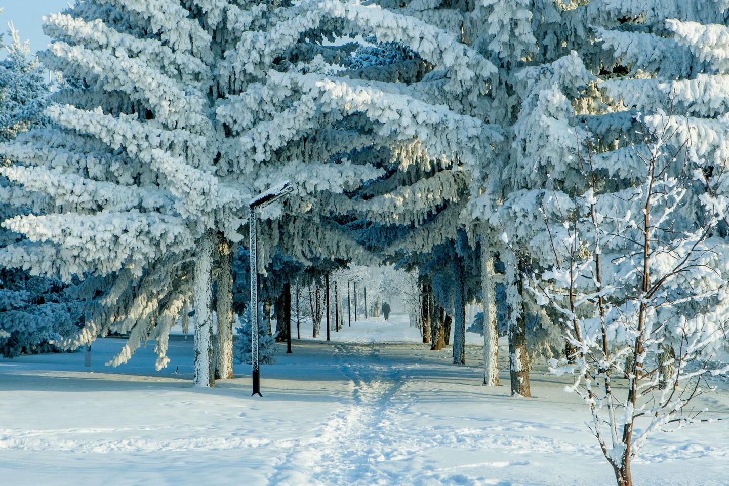 Усть-Каменогорск и ВКО / Шығыс Қазақстан облысында қатты аяз болады Усть-Каменогорск и ВКО / Шығыс Қазақстан облысында қатты аяз болады