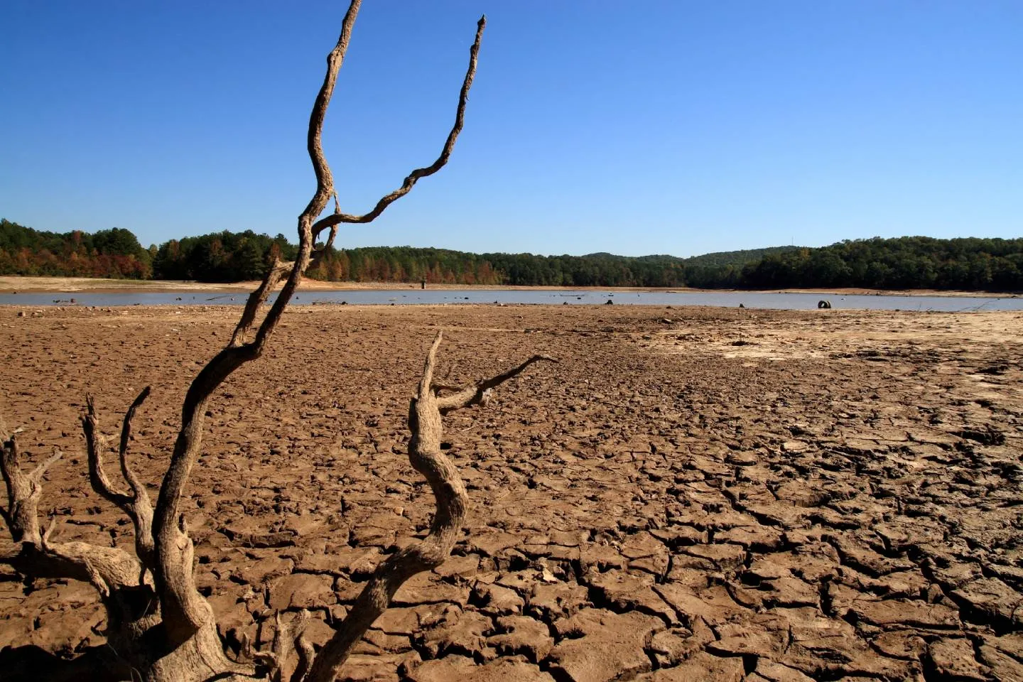 Новости мира / Интересные новости / Климатологи обеспокоены: во Франции ожидается очередная летняя засуха