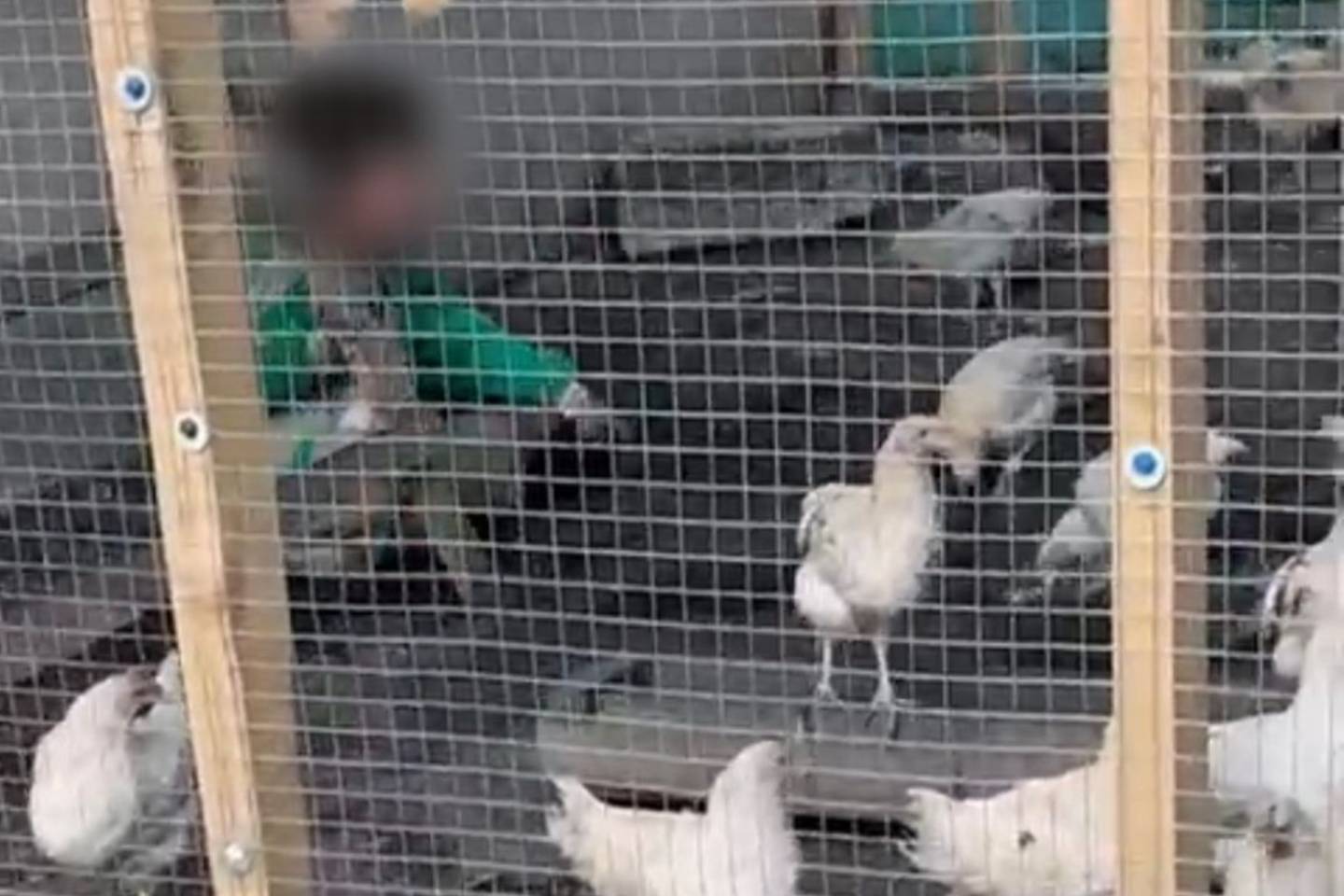 Усть-Каменогорск и ВКО / Пропавшего ребенка нашли в курятнике частного дома в Усть-Каменогорске Усть-Каменогорск и ВКО / Пропавшего ребенка нашли в курятнике частного дома в Усть-Каменогорске