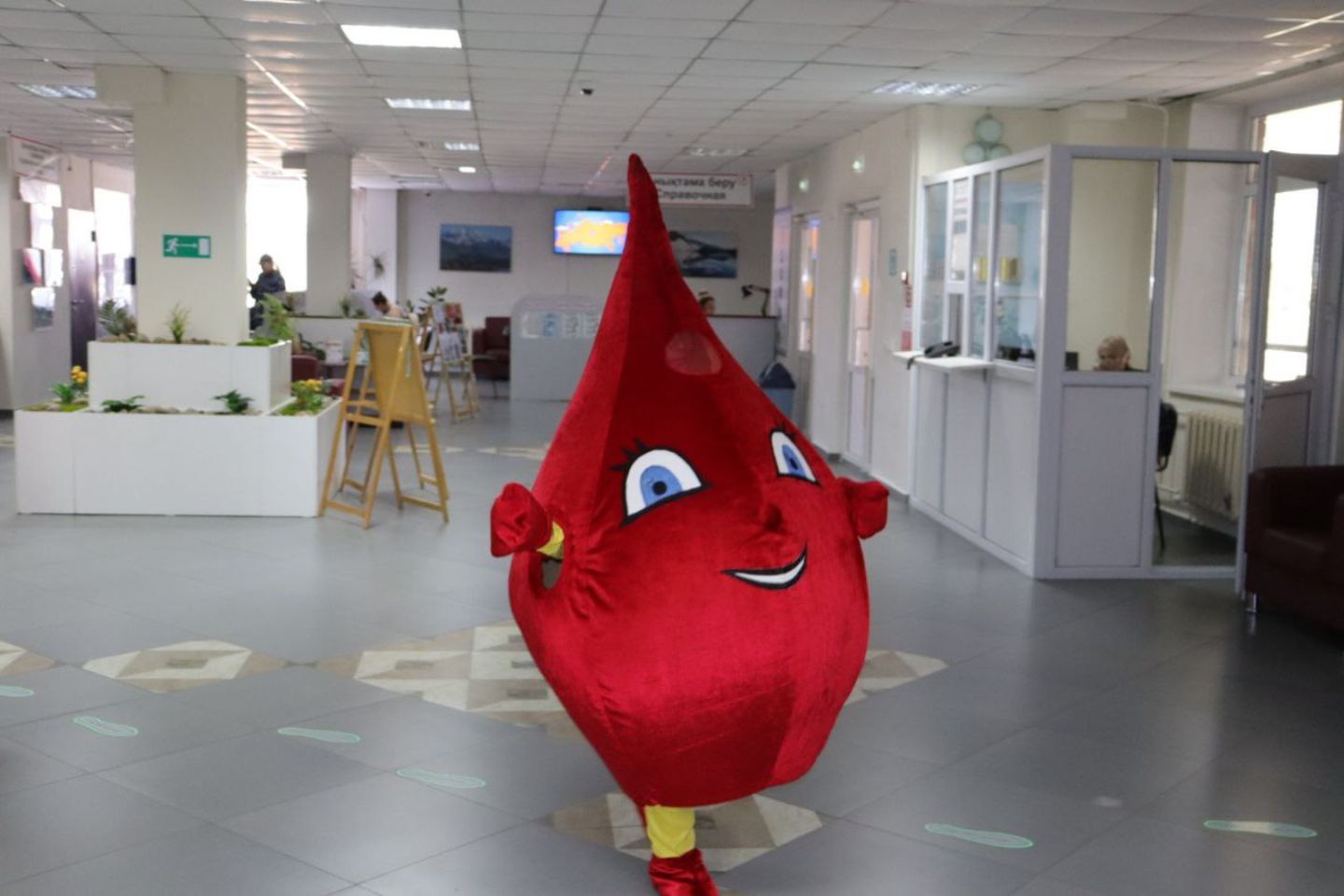 Усть-Каменогорск и ВКО / Усть-Каменогорск / Донорскую акцию в честь Наурыза проведут в Усть-Каменогорске