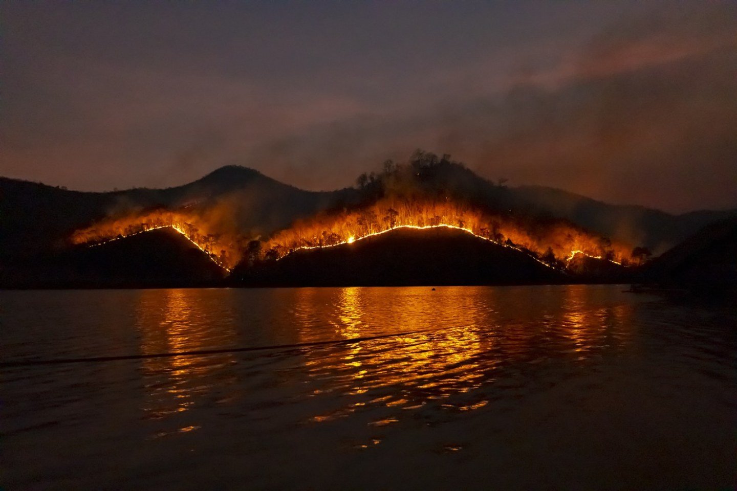 Происшествия в Казахстане и мире / Более трети американцев страдает от пожаров в соседней стране