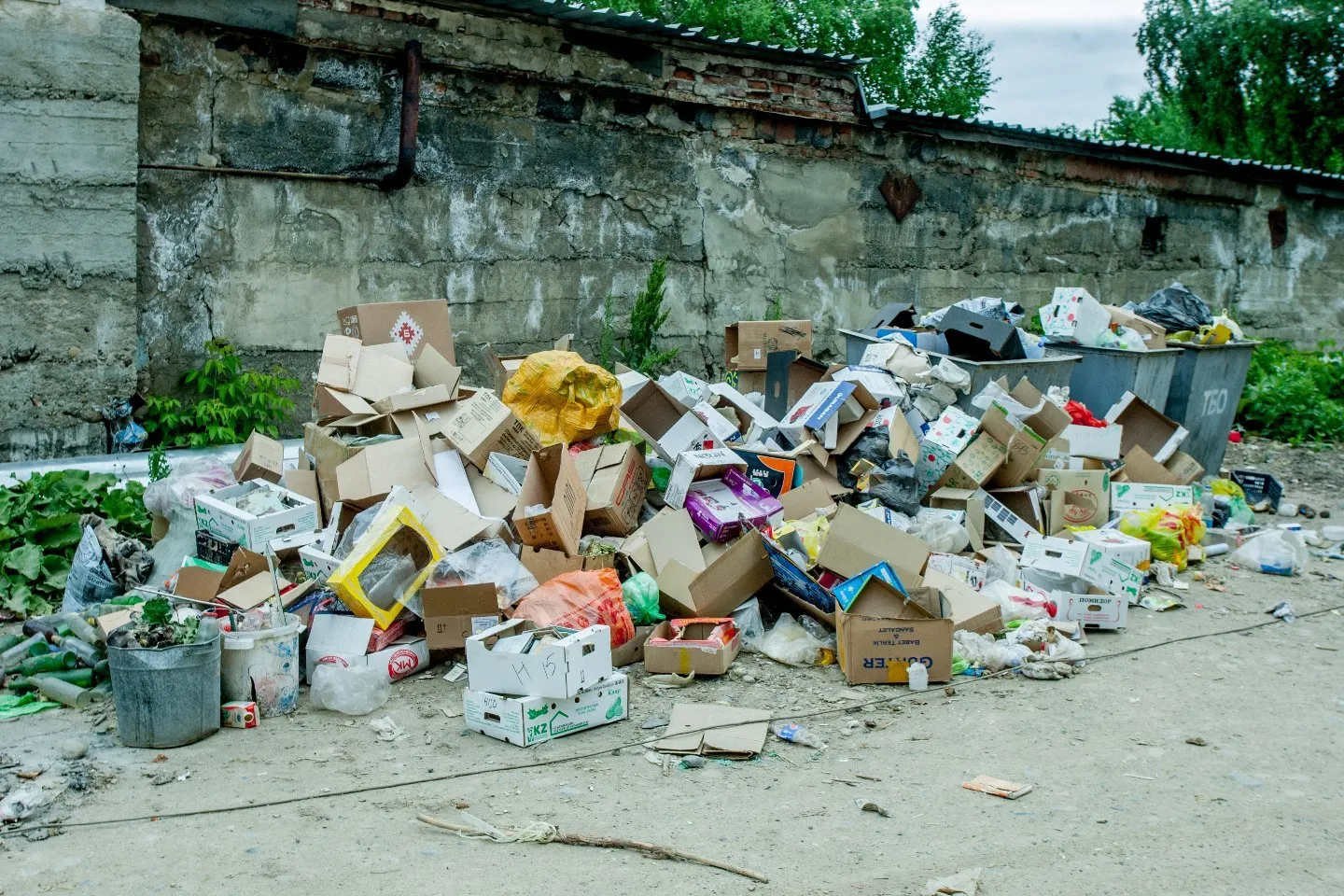 Новости Казахстана / Политика в Казахстане / 200 МРП: в Казахстане планируют увеличить штраф за неправильно выброшенный мусор