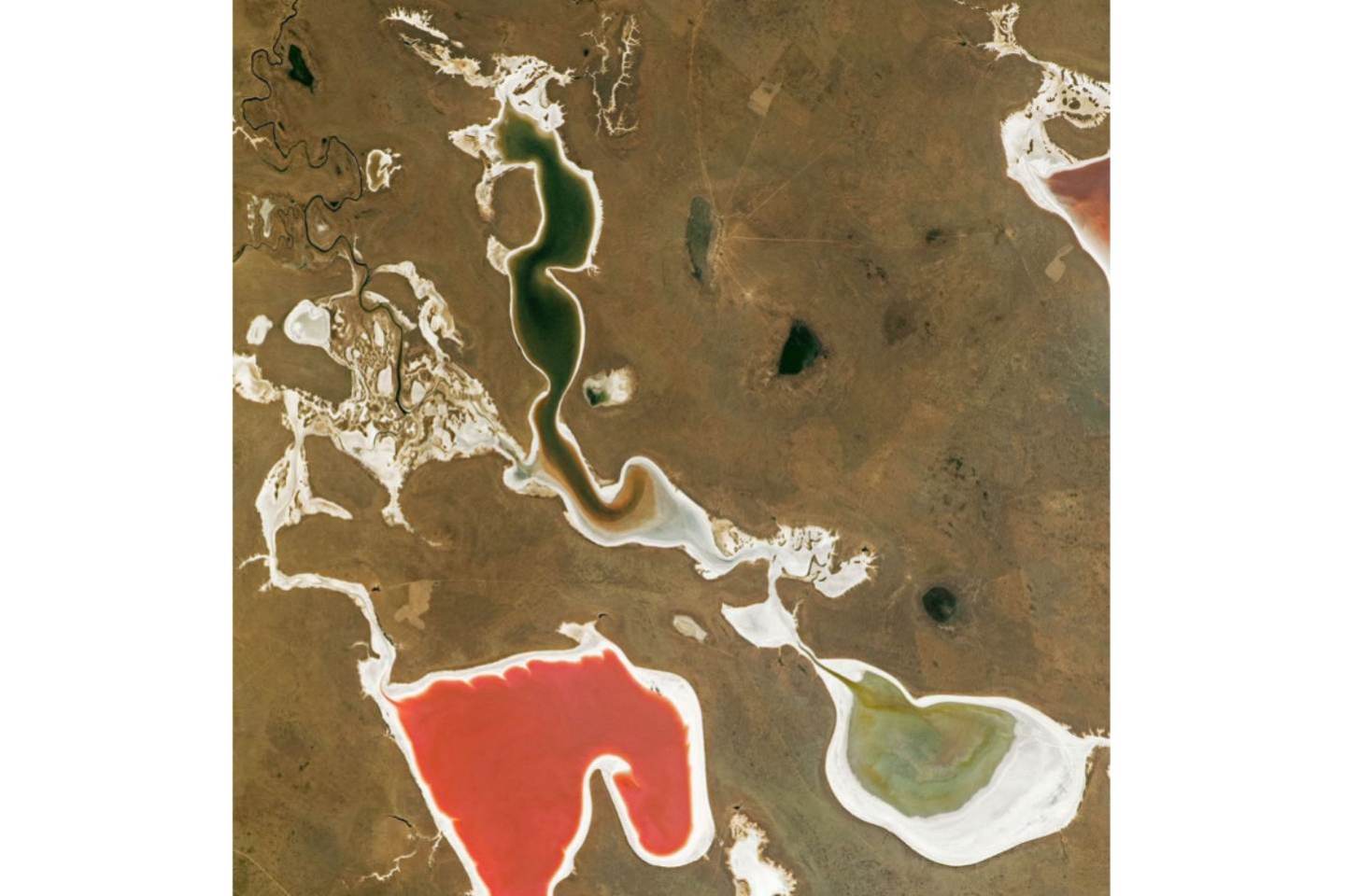 Новости мира / Интересные новости / Завораживающий снимок цветных озер Казахстана сделали с МКС