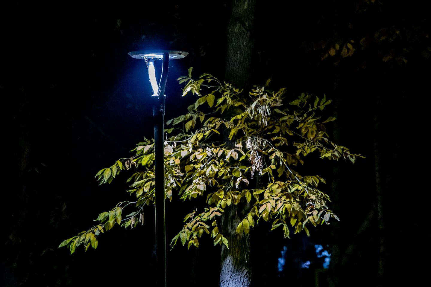 Усть-Каменогорск и ВКО / Усть-Каменогорск / Свет на улицах в 23 микрорайоне Усть-Каменогорска появится, но позже