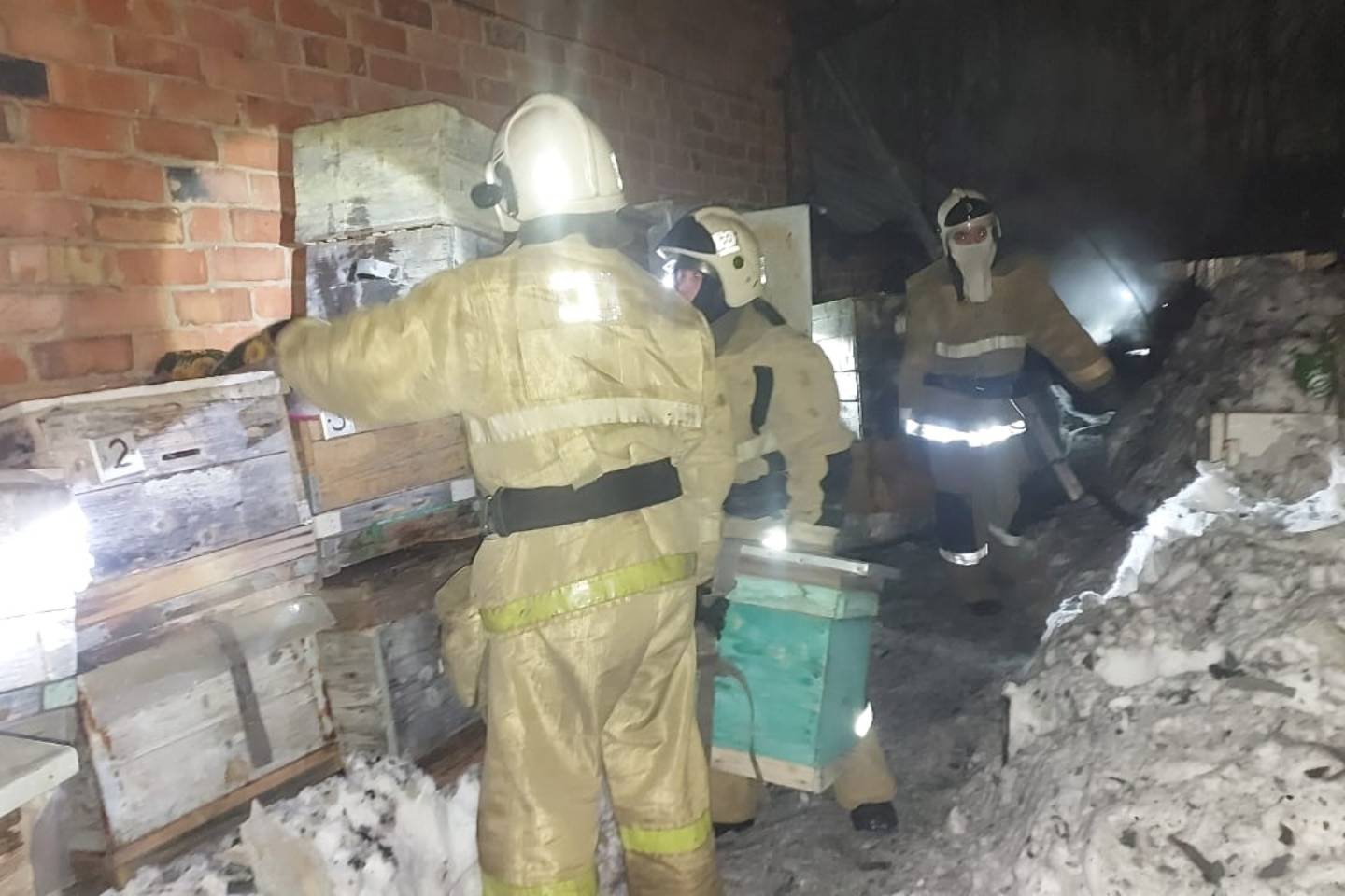 Усть-Каменогорск и ВКО / Более миллиона пчел спасли из огня пожарные в Усть-Каменогорске