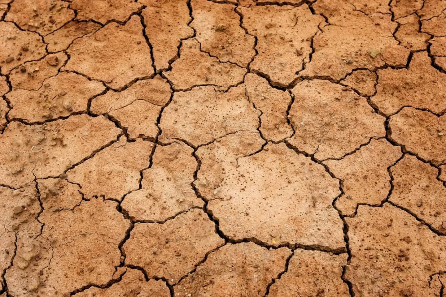 Происшествия в Казахстане и мире / Стихийные бедствия / В ООН сообщили, что 22 млн человек на Африканском Роге угрожает засуха
