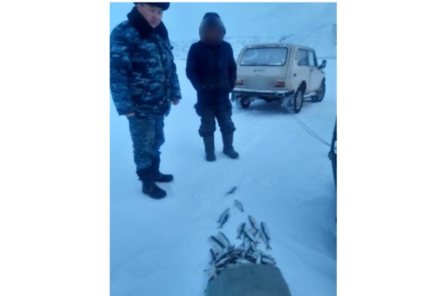 Усть-Каменогорск и ВКО / Браконьера, выловившего рипуса более чем на миллион тенге, задержали в ВКО