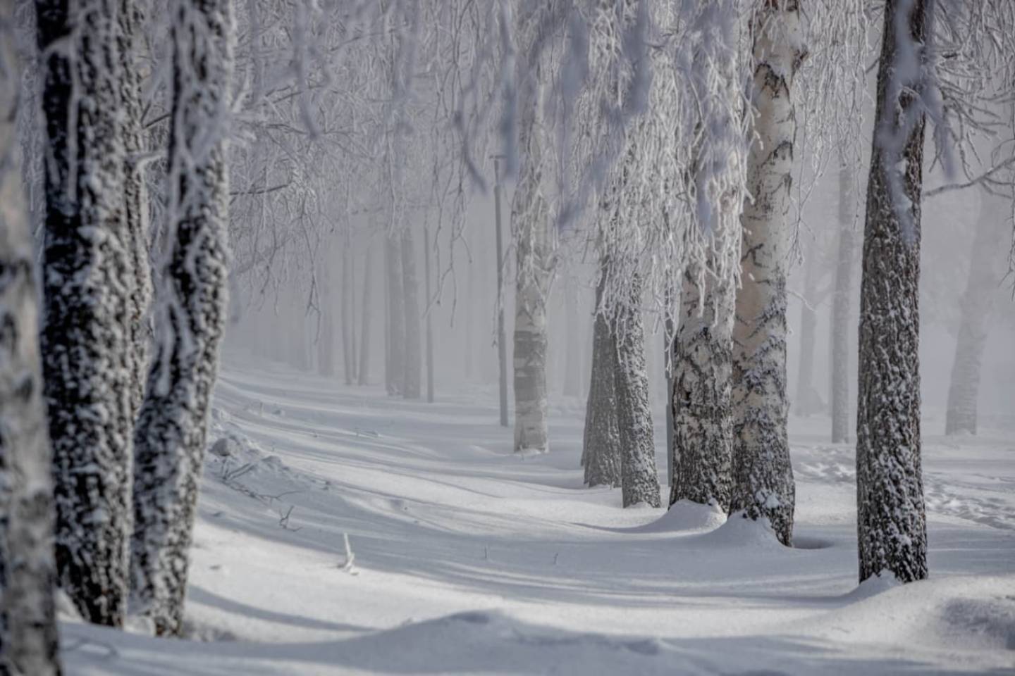 Новости мира / Интересные новости / 18 января: сегодня в истории