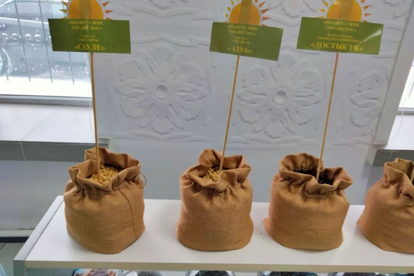 Усть-Каменогорск и ВКО / Семеноводческие хозяйства Глубоковского района объединяются в кластер