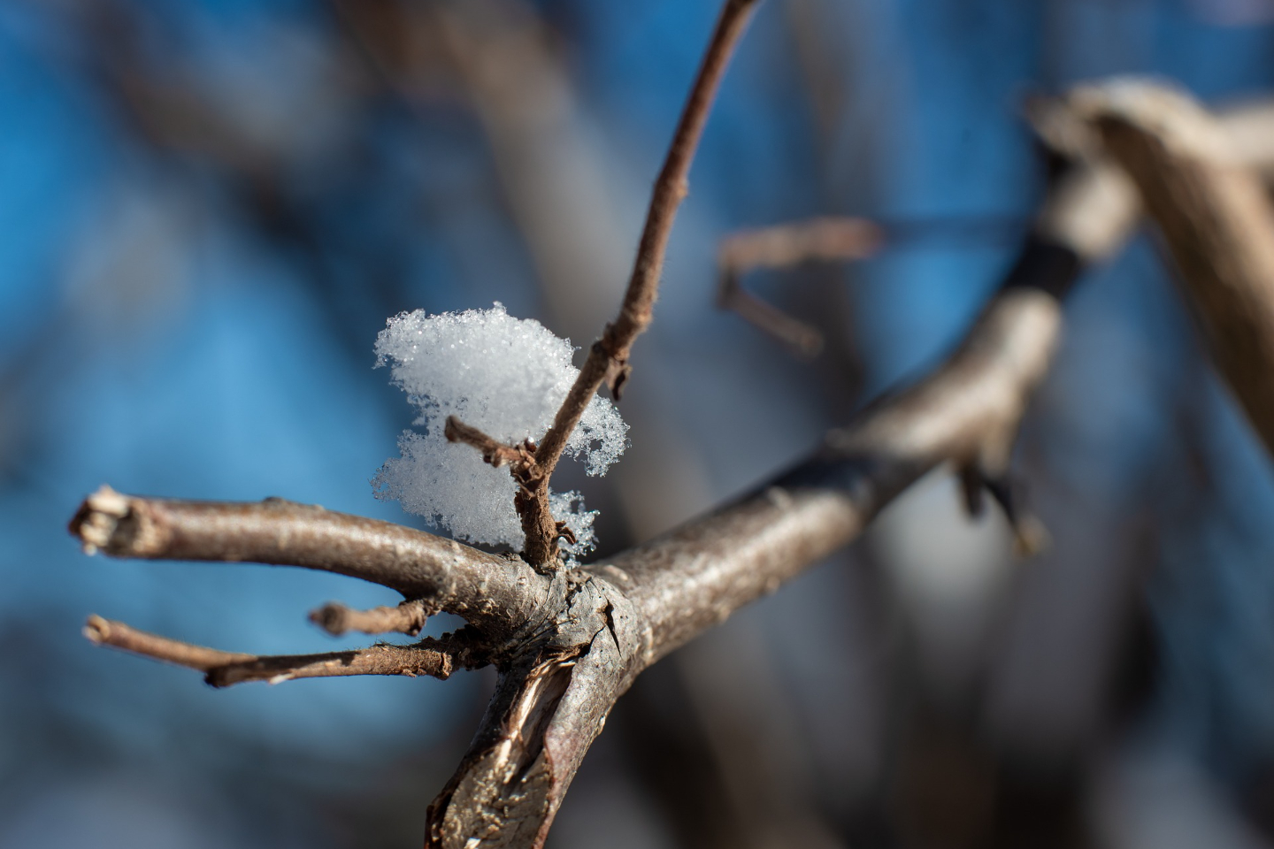 Усть-Каменогорск и ВКО / Штормовое предупреждение объявили в ВКО Усть-Каменогорск и ВКО / Штормовое предупреждение объявили в ВКО
