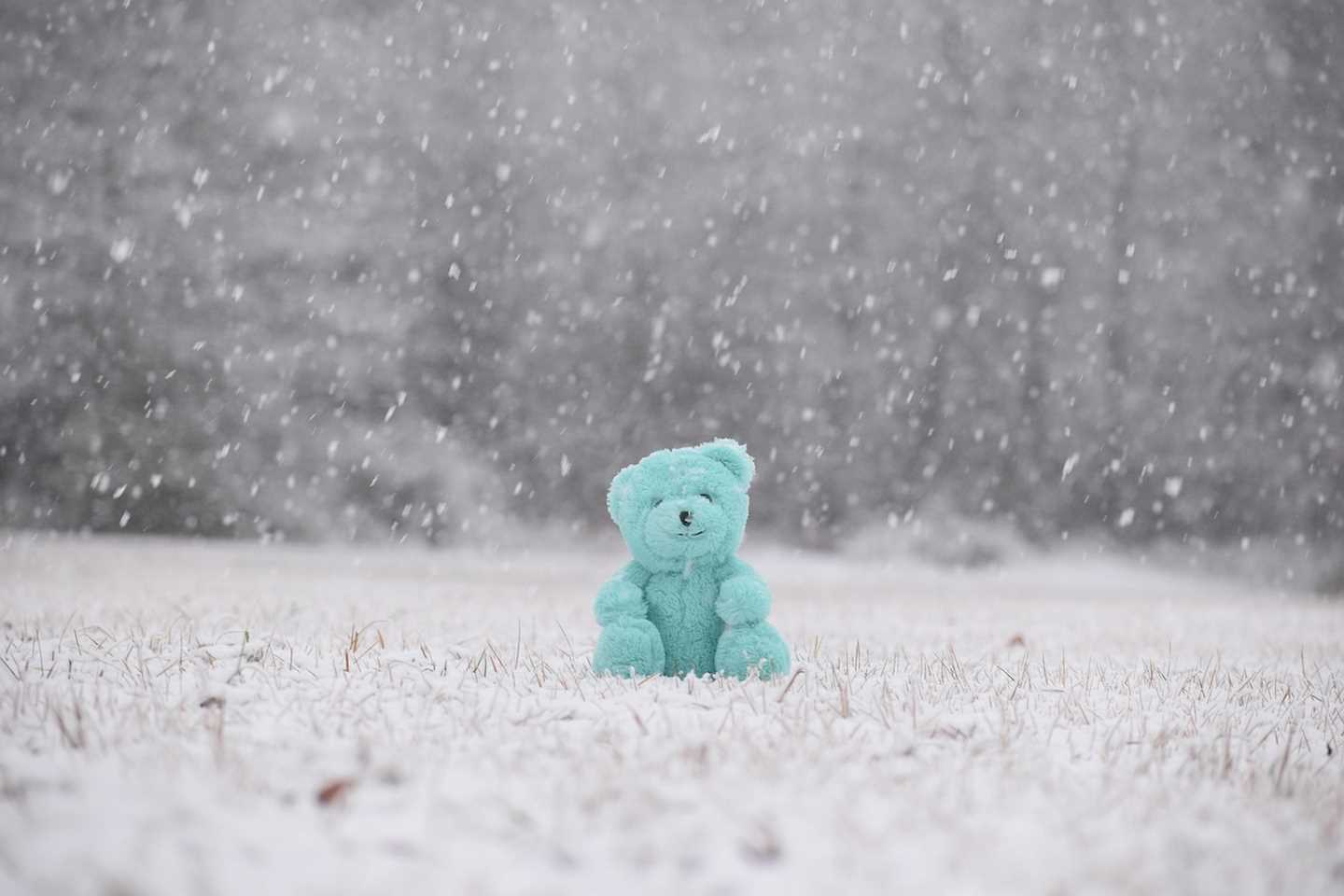 Происшествия в Казахстане и мире / Стихийные бедствия / Снежная буря в США привела к массовому отключению электроэнергии Происшествия в Казахстане и мире / Стихийные бедствия / Снежная буря в США привела к массовому отключению электроэнергии