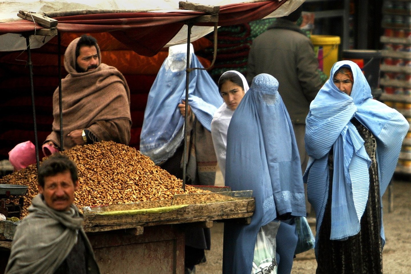 Новости мира / Политика в мире / Правительство Афганистана запретило женщинам получать высшее образование