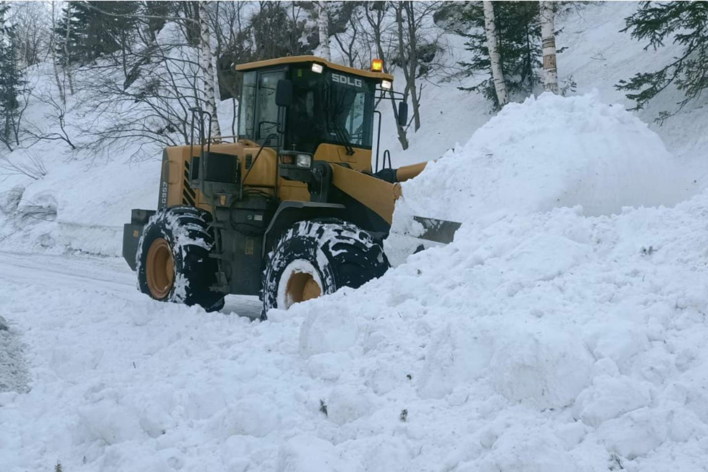 Новости Казахстана / Общество в Казахстане / Более 2,5 тысяч кубометров снега сошло с гор в Восточном Казахстане