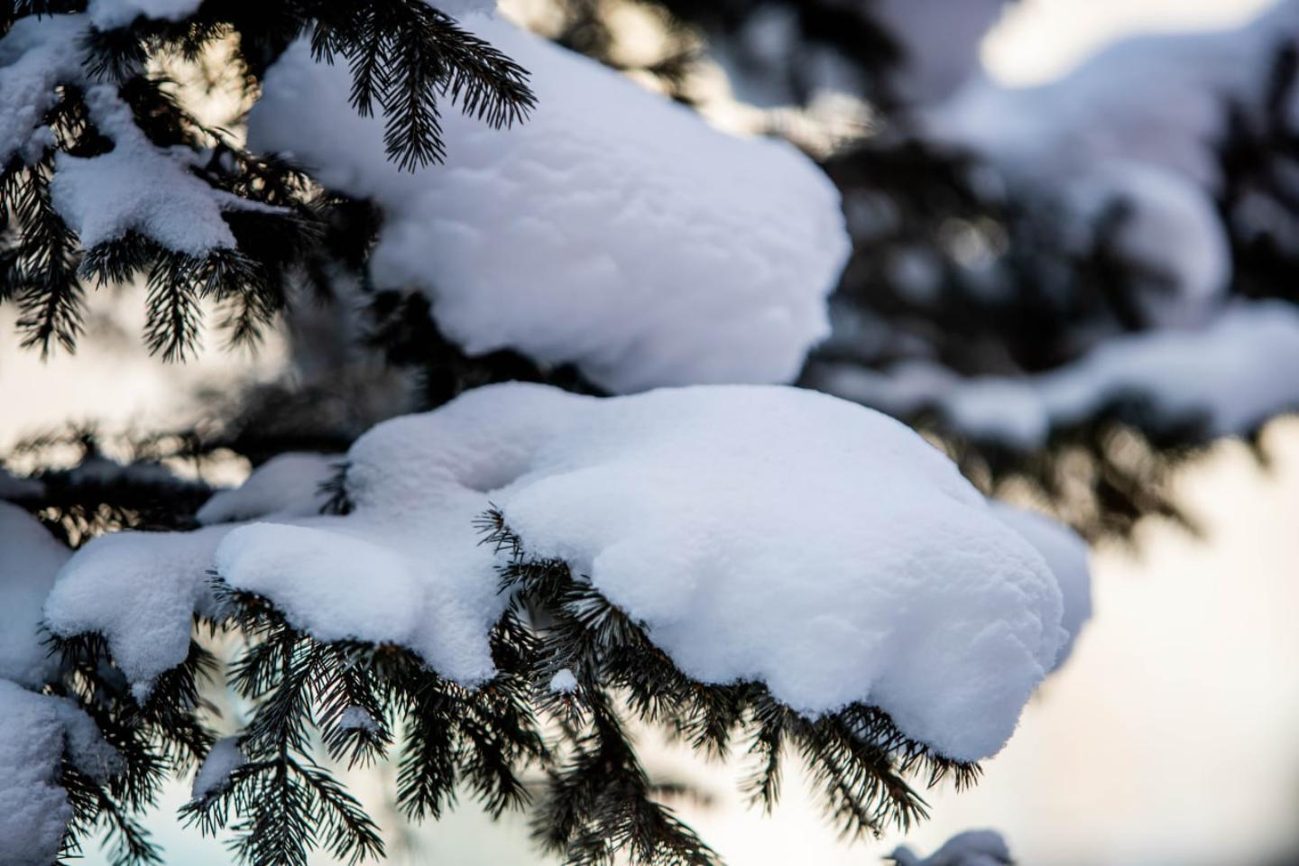Усть-Каменогорск и ВКО / Шығыс Қазақстанда дауылды ескерту жарияланды Усть-Каменогорск и ВКО / Шығыс Қазақстанда дауылды ескерту жарияланды