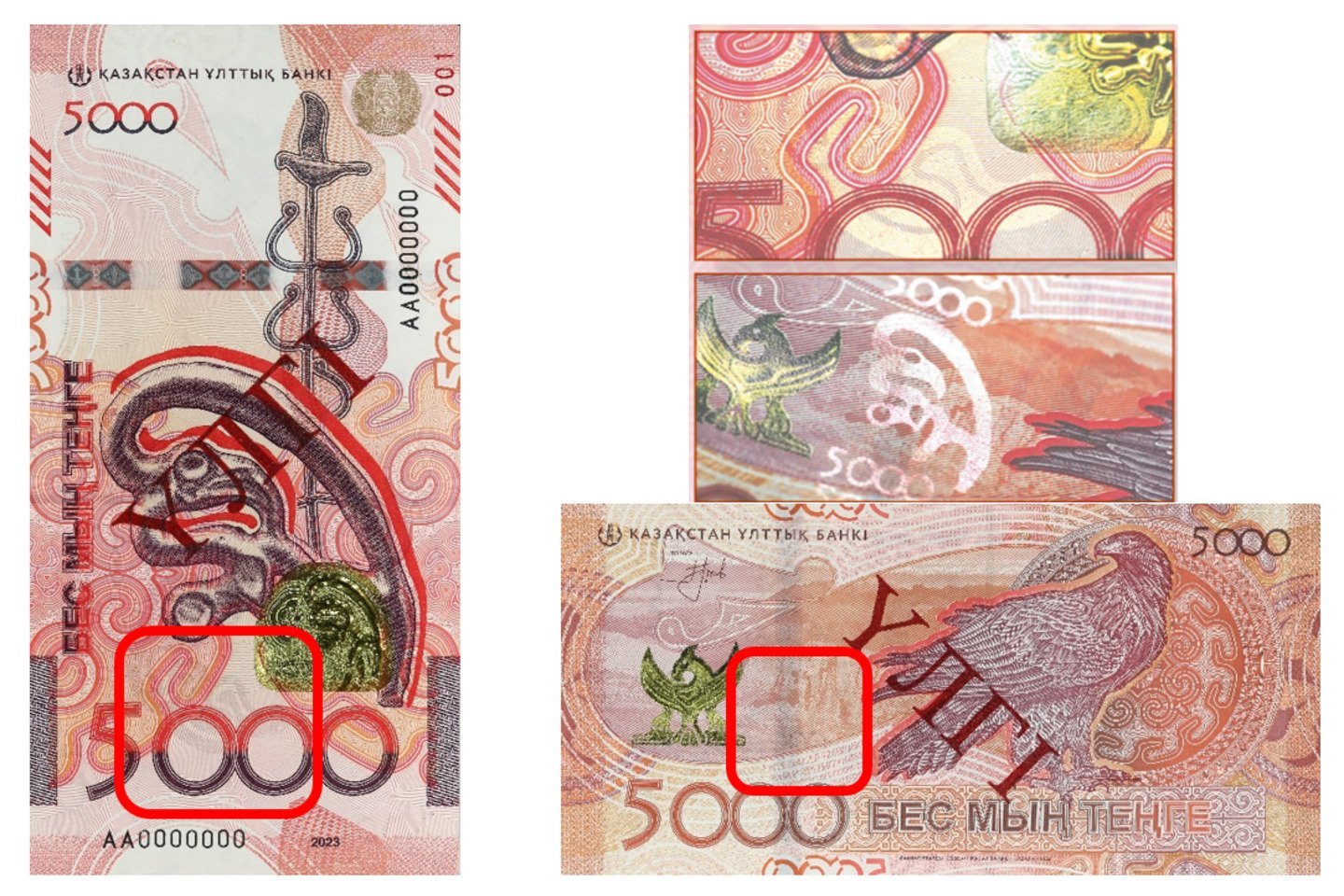 Новости Казахстана / Жаңа 5 мың теңгелік банкноталарды жалған ақшадан қалай ажыратуға болады?