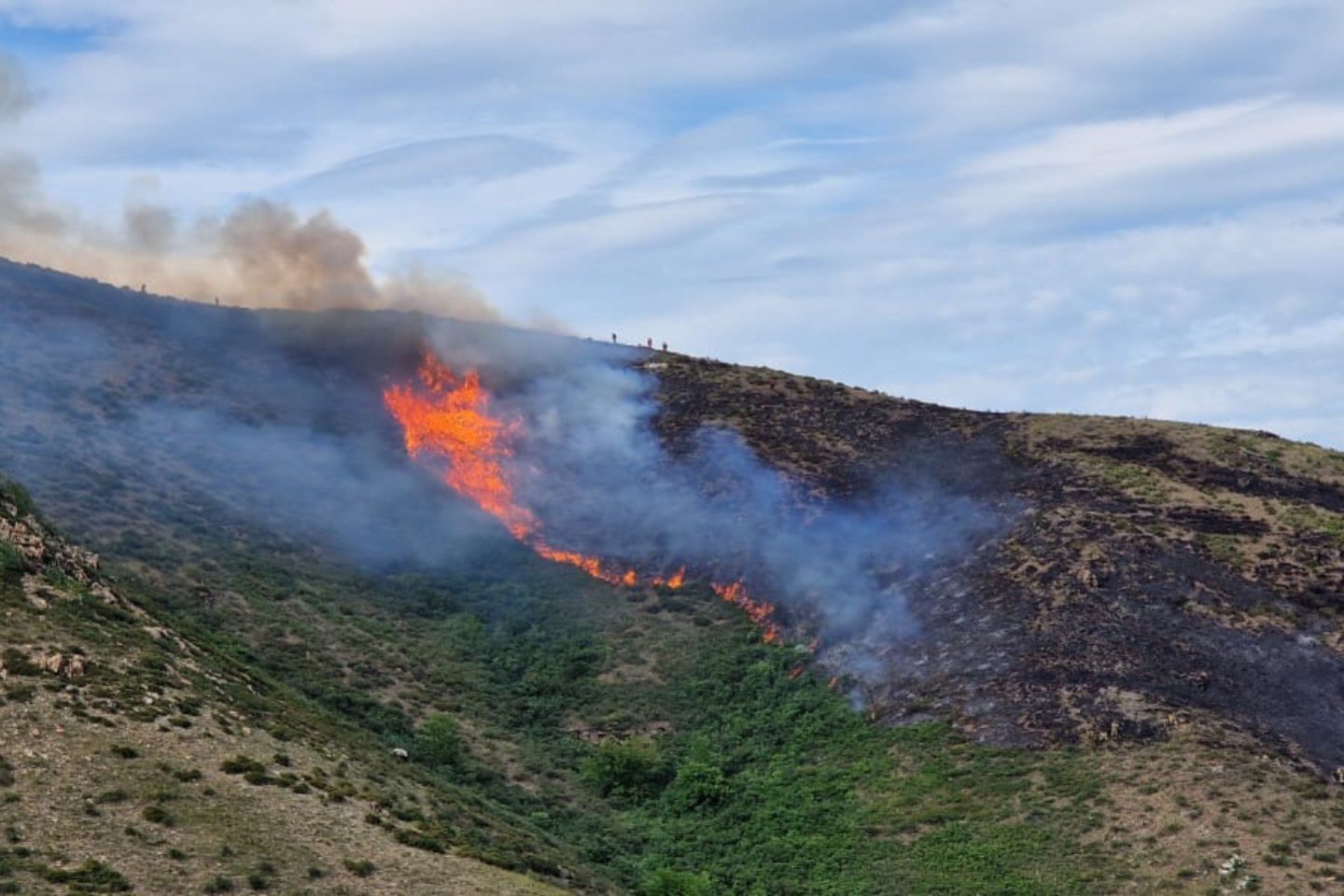 Происшествия в Казахстане и мире / Все природные пожары удалось потушить на Востоке Казахстана
