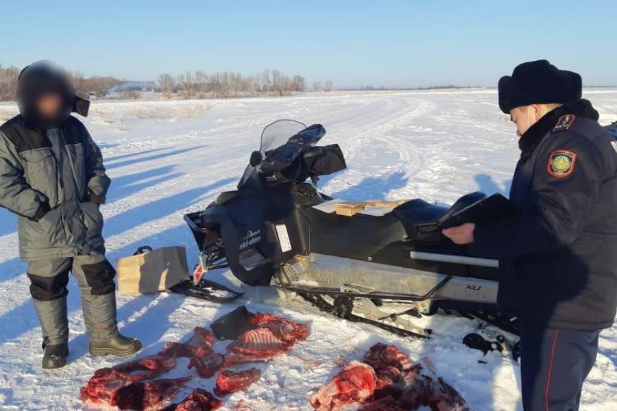 Усть-Каменогорск и ВКО / В ВКО задержали браконьеров, которые охотились на косуль и диких кабанов