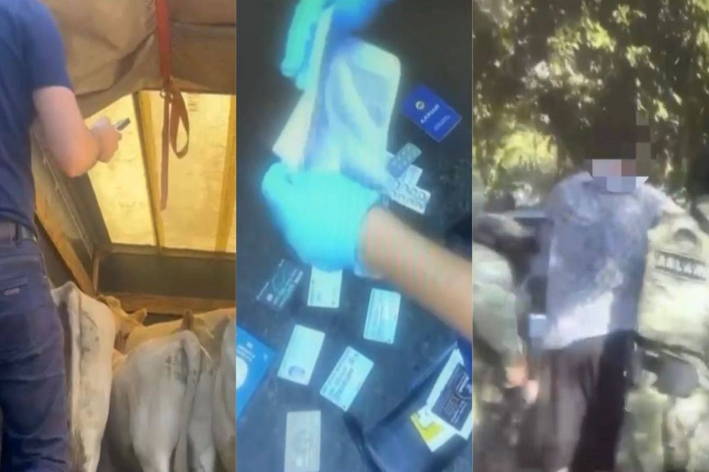 Происшествия в Казахстане и мире / ДТП / В Усть-Каменогорске легковушка врезалась в столб